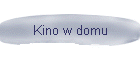 Kino w domu